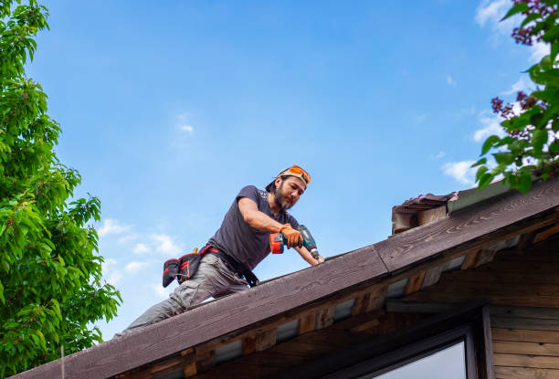 Roof Moss and Algae Removal